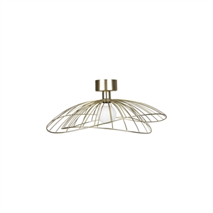 Globen Lighting Ray Plafoniera/ Lampada Da Applique Ottone Spazzolato
