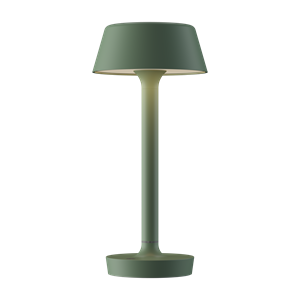 Lampada da Tavolo Antidark Companion T1 Portatile Verde Polvere