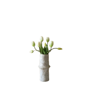Bouquet di Tulipani Botané Bianco