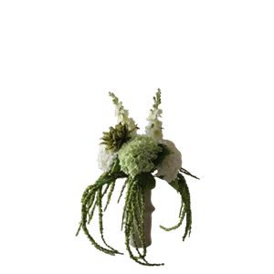 Botané Enchanted Matcha Bouquet Verde