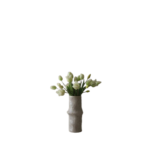 Bouquet misto di tulipani Botané Bianco