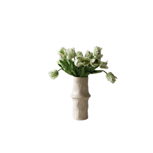 Botané Piccolo Bouquet di Tulipani Pappagallo Bianco