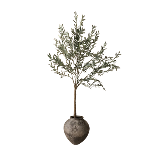 Botané Olive Wood Verde