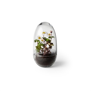 Design House Stockholm Grow Vase Medium Trasparente