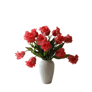 Bouquet di tulipani pappagallo Botané Rosso